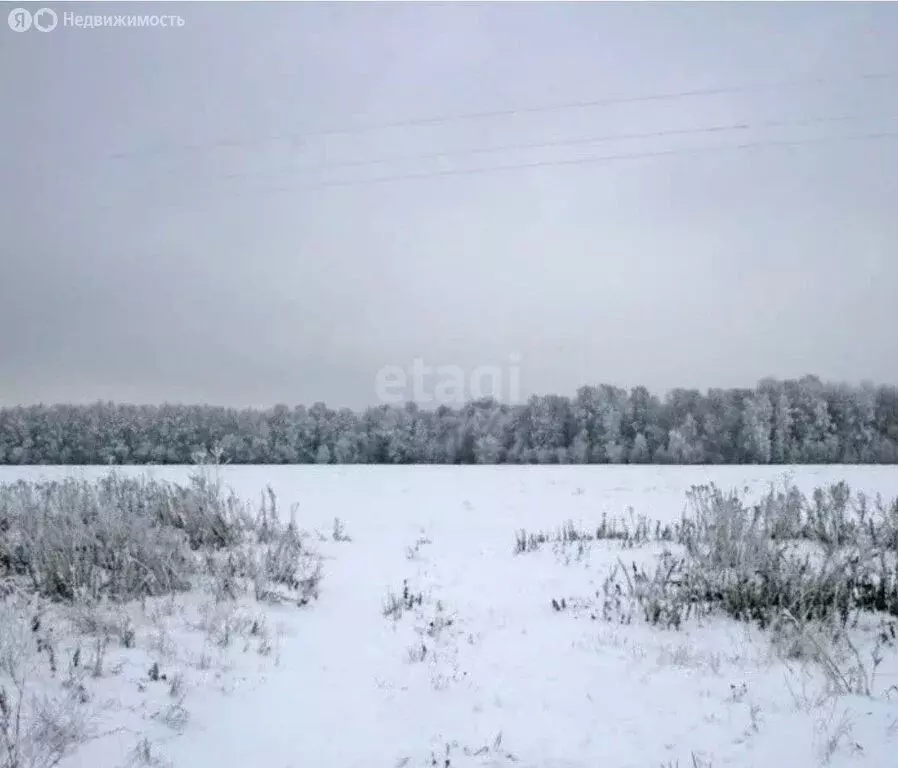 Участок в Кемеровский муниципальный округ, деревня Журавлёво, СНТ ... - Фото 1