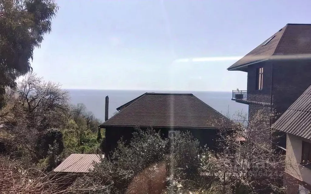 Участок в Краснодарский край, Сочи Юг СНТ, 81 (6.0 сот.) - Фото 2