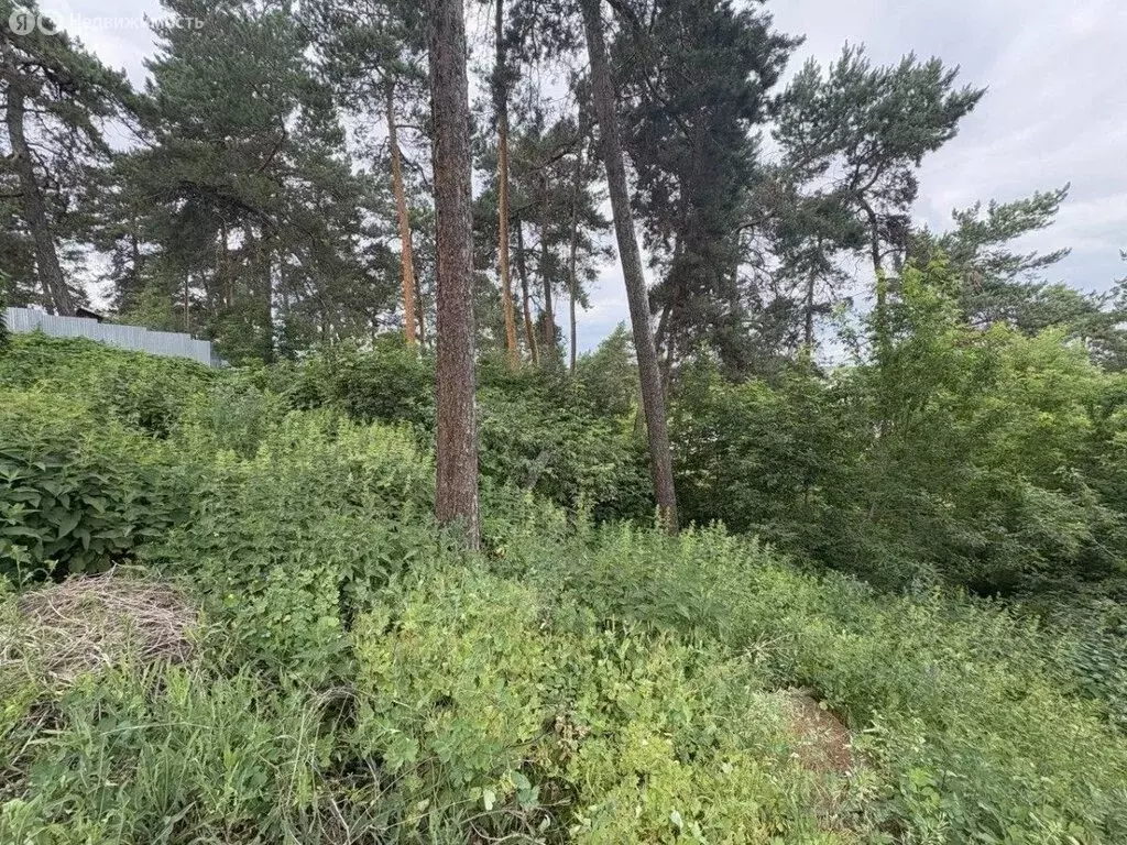 Участок в село Новый Буян, посёлок Киселёвка (20 м) - Фото 2