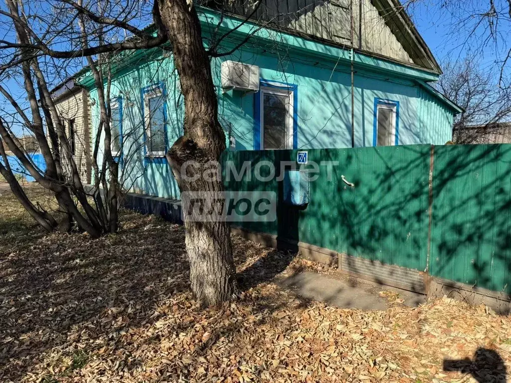Дом в Амурская область, с. Ивановка ул. Подстанционная, 7 (42 м) - Фото 1