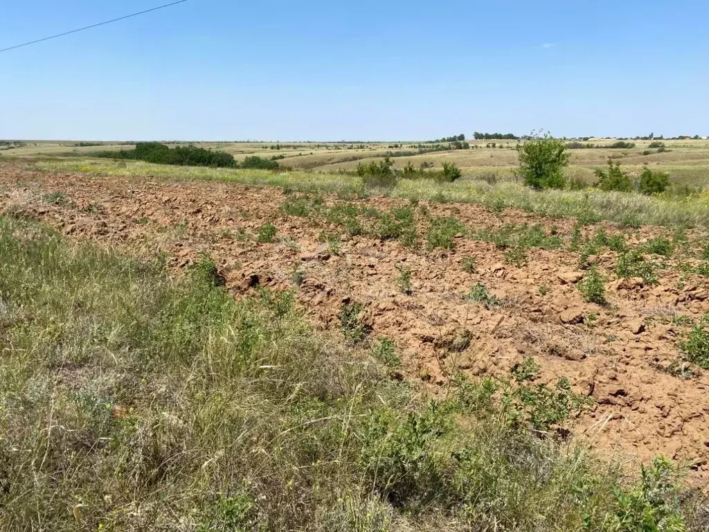 Участок в Волгоградская область, Городищенский район, Царицынское ... - Фото 1