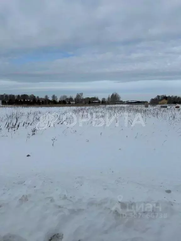 Участок в Тюменская область, Тюменский район, с. Червишево  (7.5 сот.) - Фото 0