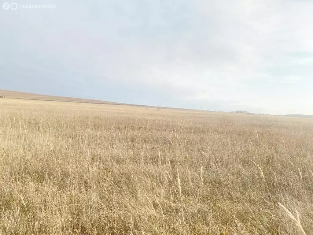 Участок в Ширинский район, посёлок Жемчужный (8 м) - Фото 2