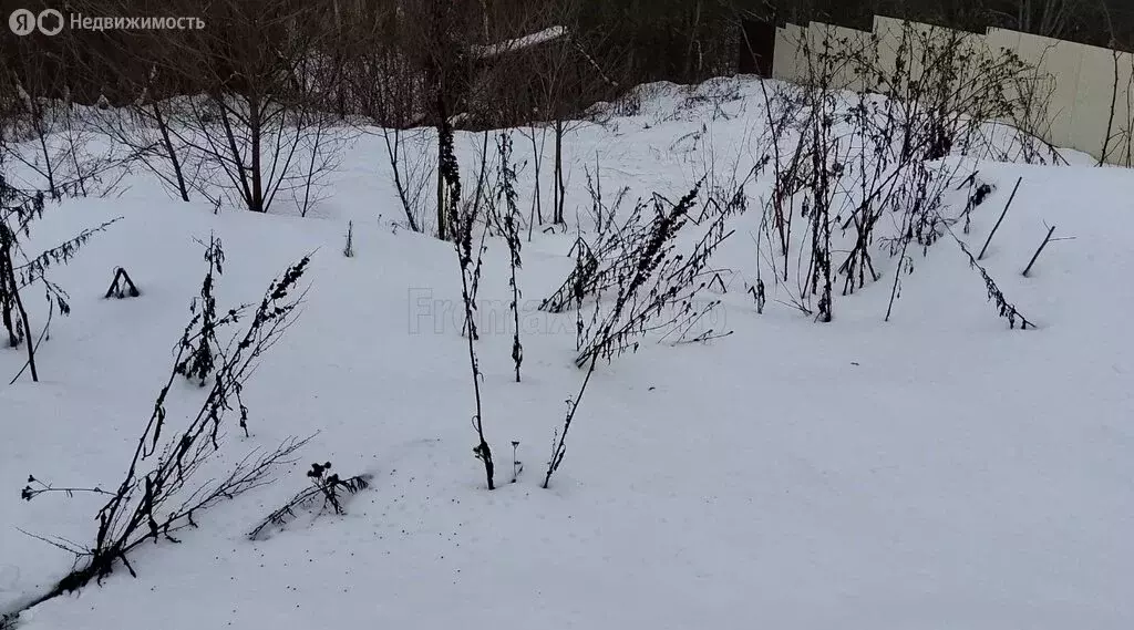 Участок в Московская область, городской округ Пушкинский, деревня ... - Фото 1