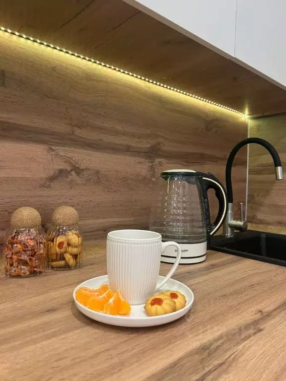 Студия Свердловская область, Екатеринбург ул. Крауля, 105/2 (23.7 м) - Фото 1