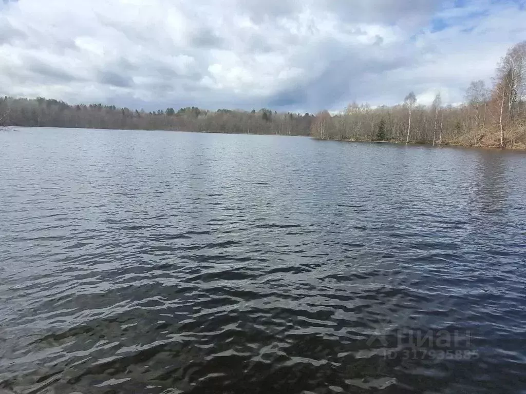 Дом в Карелия, Суоярвский муниципальный округ, Харитонова Гора тер.  ... - Фото 0