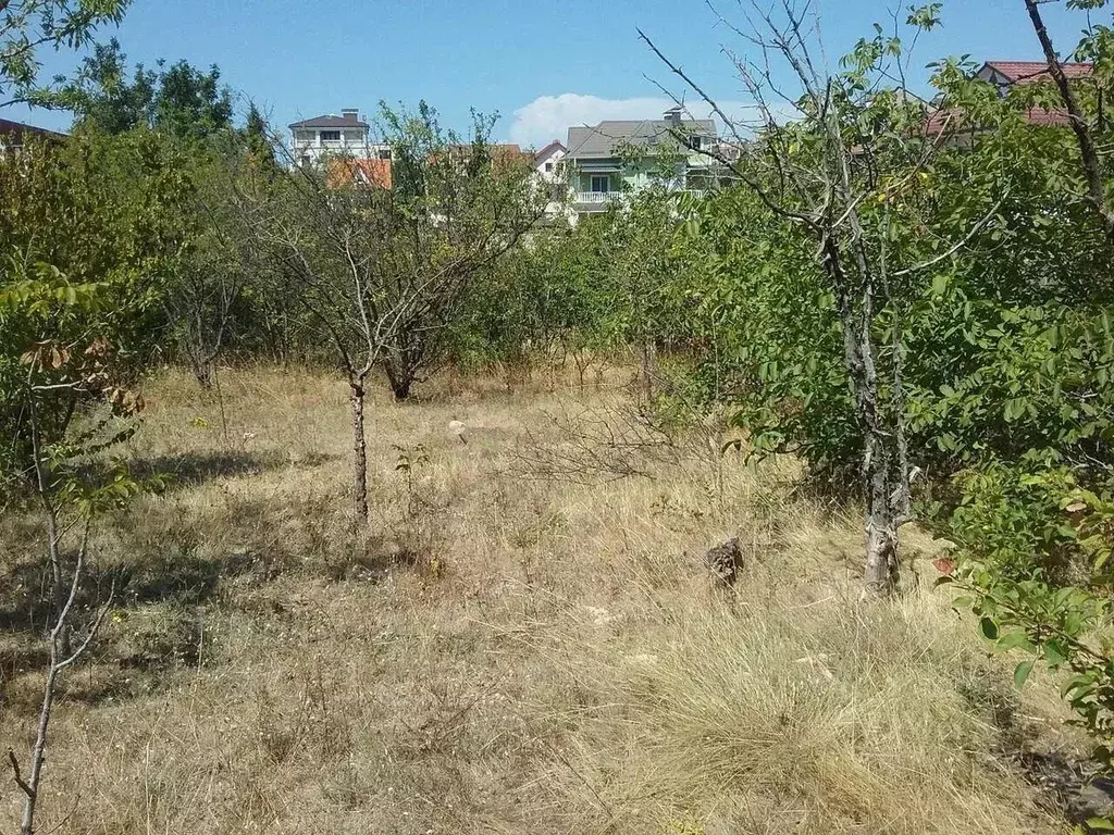 Участок в Севастополь Балаклавский муниципальный округ, Фиолент СТ, ... - Фото 1