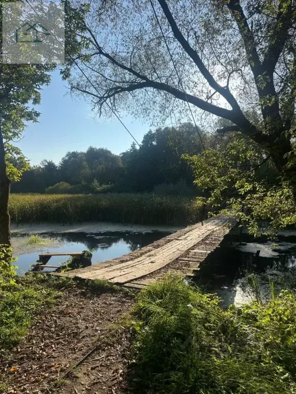 Участок в Воронежская область, Новоусманский район, Орловское с/пос, ... - Фото 2