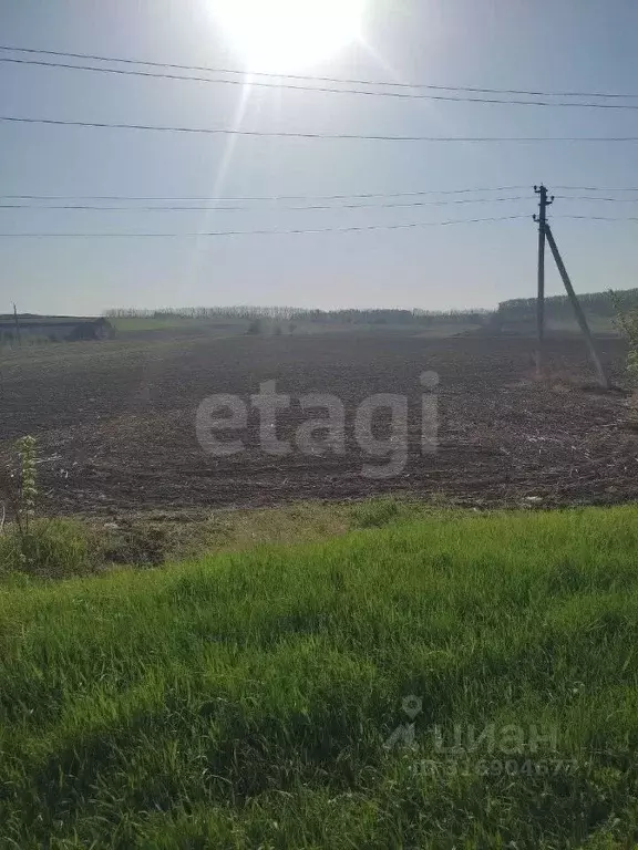 Участок в Белгородская область, Красногвардейский муниципальный округ, ... - Фото 1