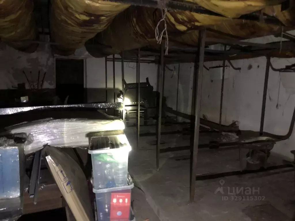 Помещение свободного назначения в Новосибирская область, Новосибирск ... - Фото 2