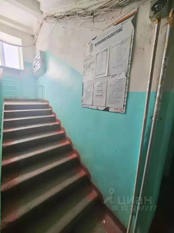 1-к кв. Пермский край, Пермь ул. Звонарева, 43А (29.1 м) - Фото 2