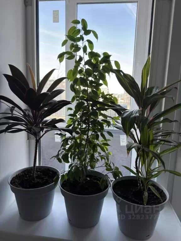 1-к кв. Волгоградская область, Волгоград ул. Химина, 2А (49.0 м) - Фото 1