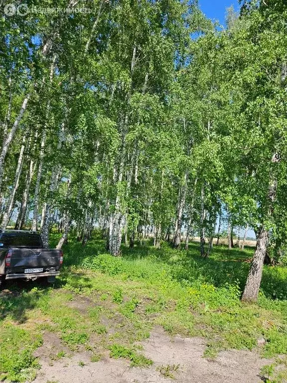 Дом в Шуваевский сельсовет, СНТ Марс, 22 (70 м) - Фото 1