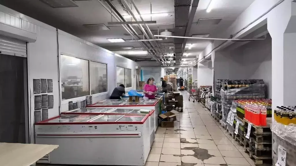 Помещение свободного назначения в Новосибирская область, Новосибирск ... - Фото 1