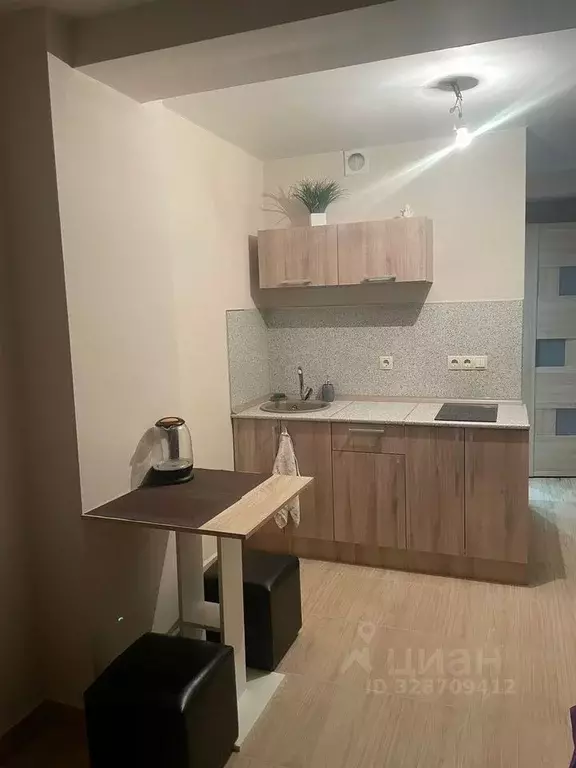 1-к кв. Москва Рябиновая ул., 45К2 (25.0 м) - Фото 1