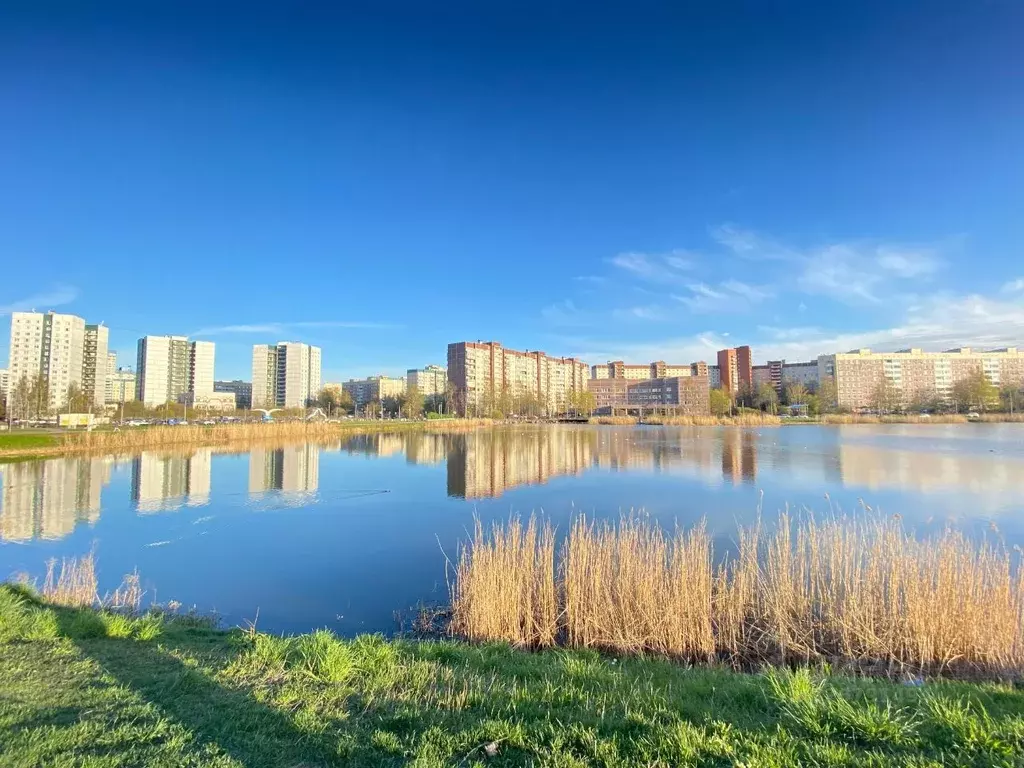 1-к кв. Санкт-Петербург просп. Королева, 43К1 (34.6 м) - Фото 2