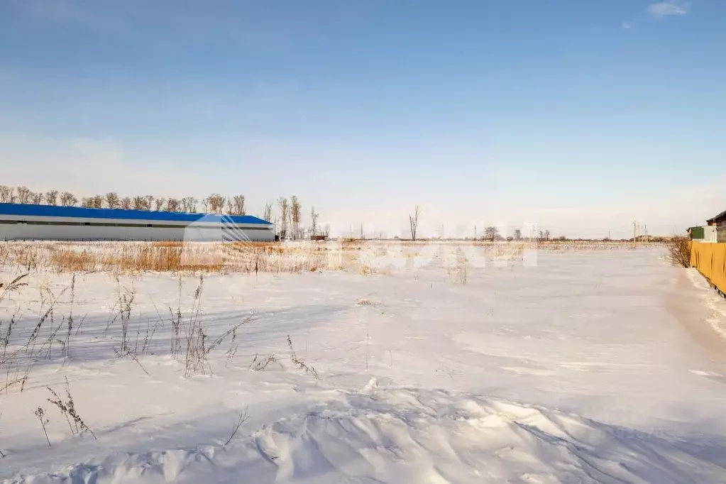 Участок в Амурская область, Благовещенский район, с. Волково  (320.6 ... - Фото 2