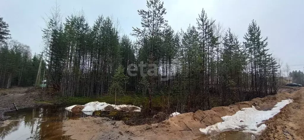 Участок в Коми, Сыктывкар городской округ, Верхняя Максаковка пгт ул. ... - Фото 1