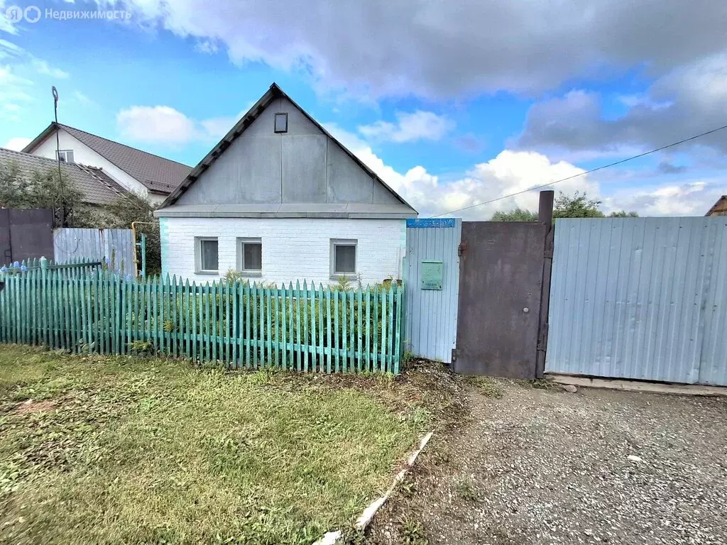Дом в Копейский городской округ, село Синеглазово, Шоссейная улица, 10 ... - Фото 1
