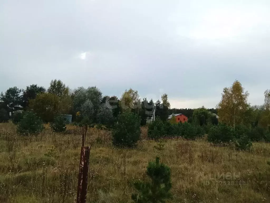 Участок в Калужская область, Дзержинский муниципальный округ, Дворцы ... - Фото 1