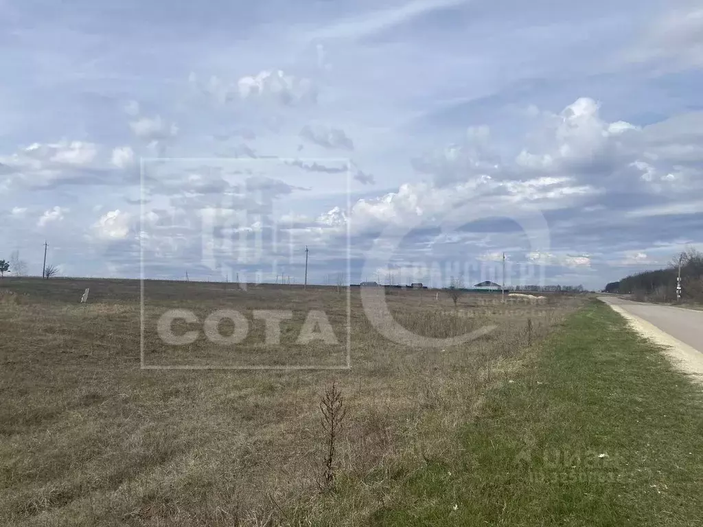 Участок в Воронежская область, Рамонский район, Новоживотинновское ... - Фото 2