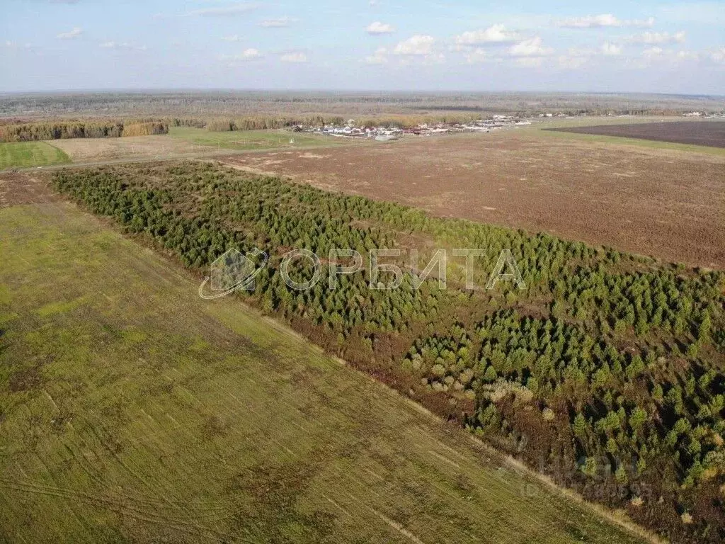 Участок в Тюменская область, Тюменский район, д. Насекина  (7.0 сот.) - Фото 1