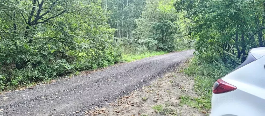 Участок в Тамбовская область, Тамбов городской округ, пос. Тригуляй  ... - Фото 1