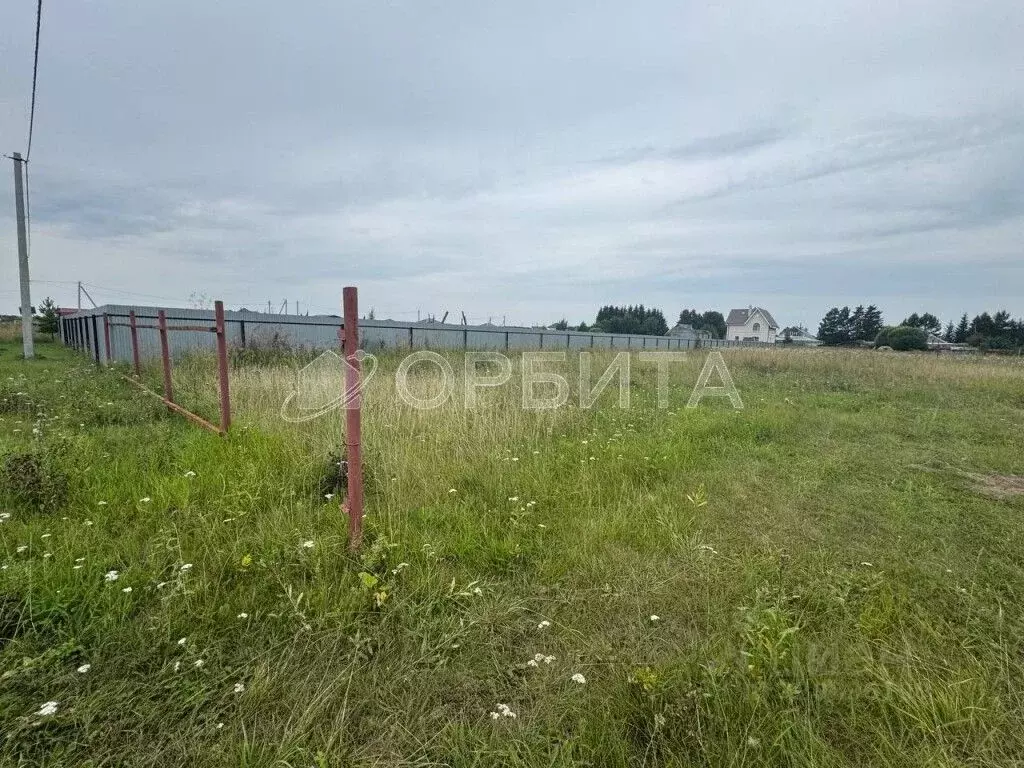 Участок в Тюменская область, Тюменский район, Нива СНТ ул. Урожайная, ... - Фото 2