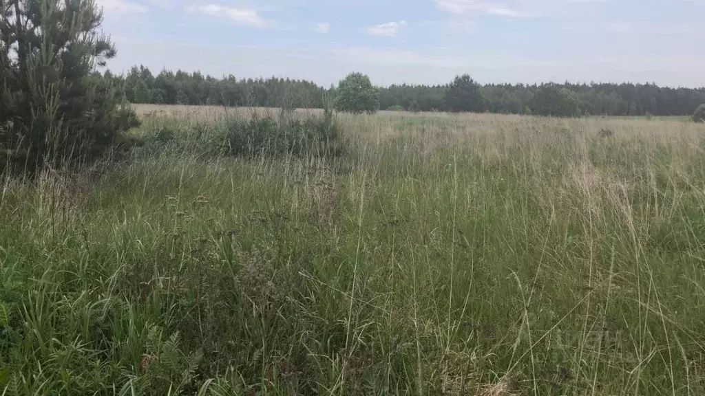 Участок в Московская область, Орехово-Зуевский городской округ, д. ... - Фото 0