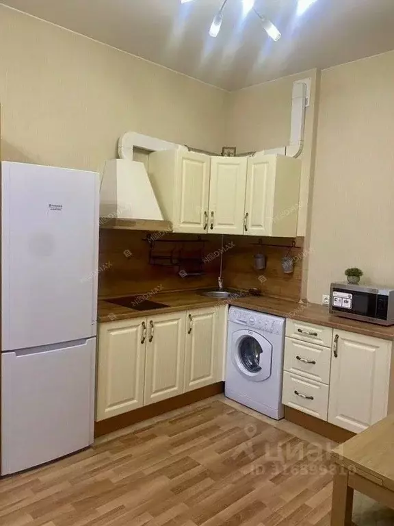 Студия Санкт-Петербург ул. Глухая Зеленина, 4 (26.0 м) - Фото 1