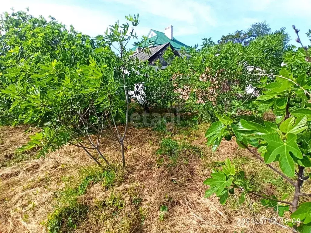 Участок в станица Анапская, улица Конституции (12 м) - Фото 2