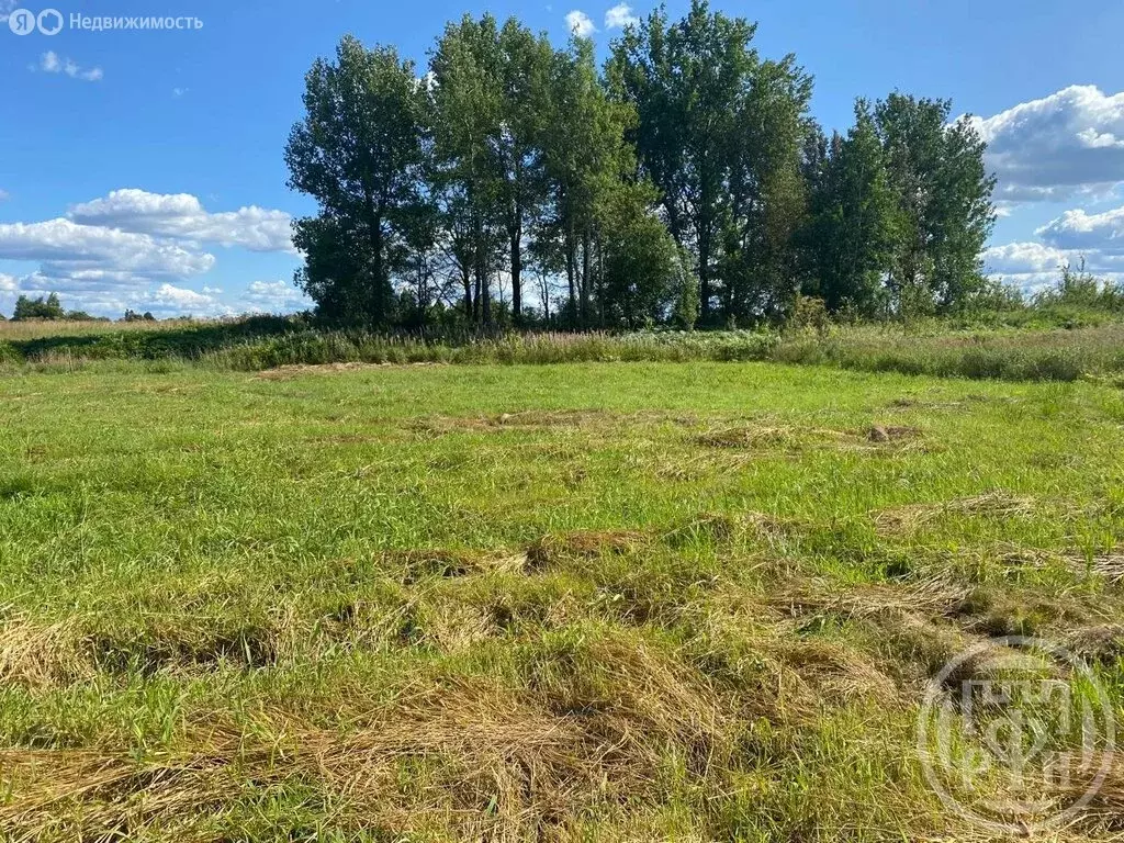 Участок в Скребловское сельское поселение, деревня Старая Серёдка (10 ... - Фото 1