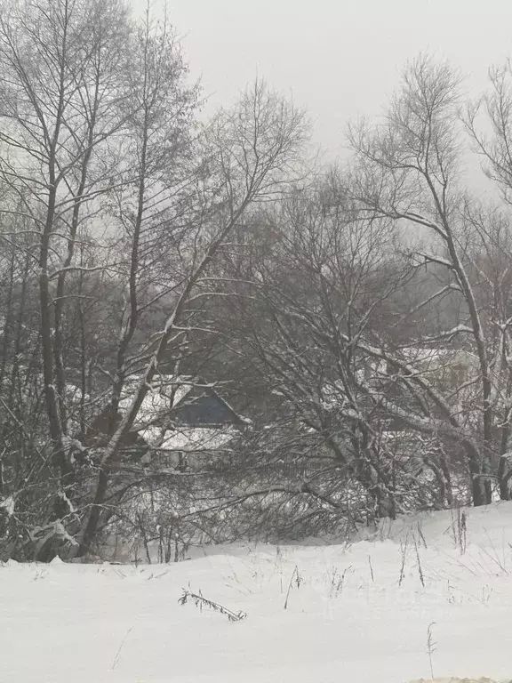 Участок в Московская область, Ступино городской округ, д. Беспятово  ... - Фото 1