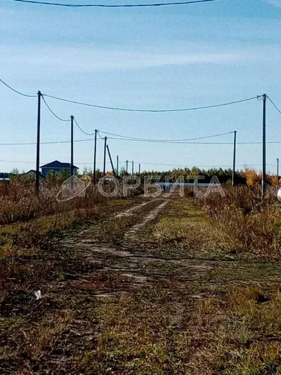 Участок в Тюменская область, Тюменский район, с. Борки  (15.0 сот.) - Фото 0