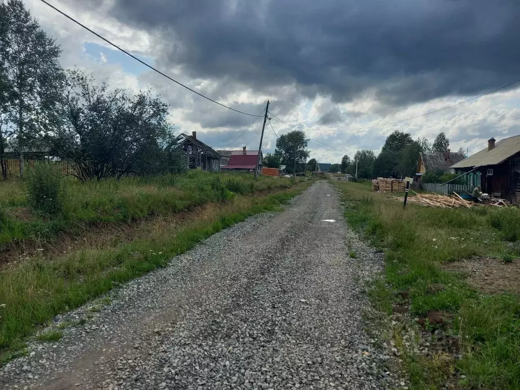 Участок в Новгородская область, Новгородский район, Трубичинское ... - Фото 0