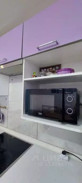 1-к кв. Воронежская область, Воронеж Минская ул., 69 (32.0 м) - Фото 2