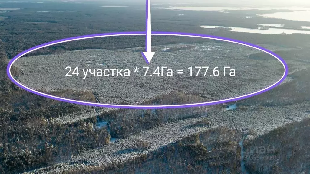 Участок в Челябинская область, Каслинский район, с. Тюбук  (17760.0 ... - Фото 0