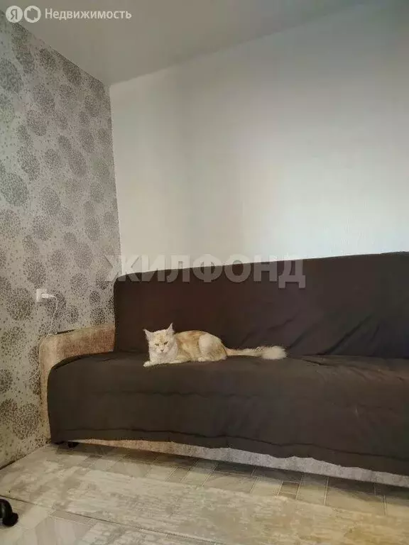 1-комнатная квартира: Нижний Тагил, улица Циолковского, 2к3 (21 м) - Фото 1