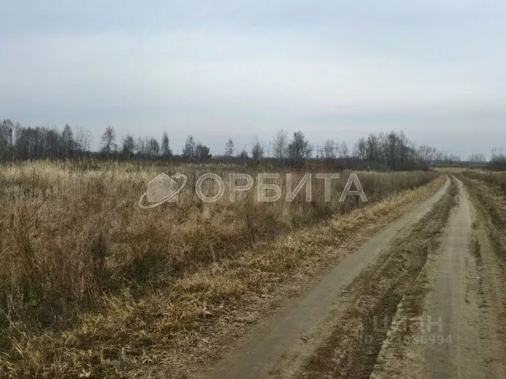 Участок в Тюменская область, Тюменский муниципальный округ, ... - Фото 1