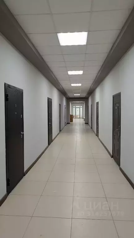 Помещение свободного назначения в Ставропольский край, Ставрополь ул. ... - Фото 0