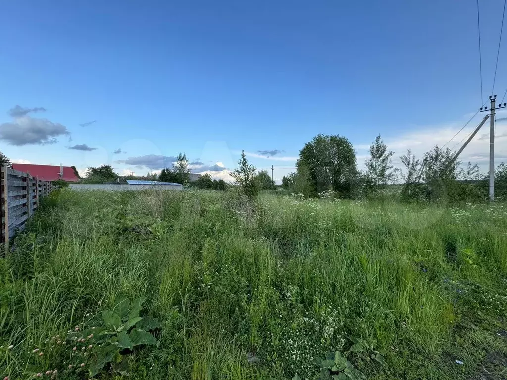 Участок 5,3 сот. (ИЖС) - Фото 1