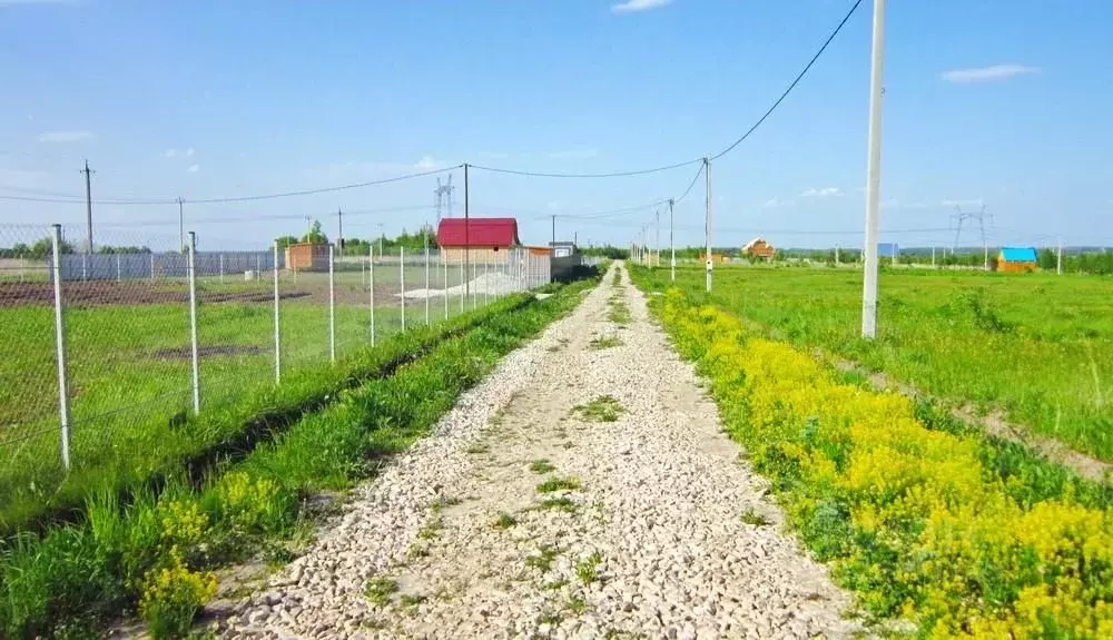 Участок в Тульская область, Заокский район, Малаховское с/пос, д. ... - Фото 2