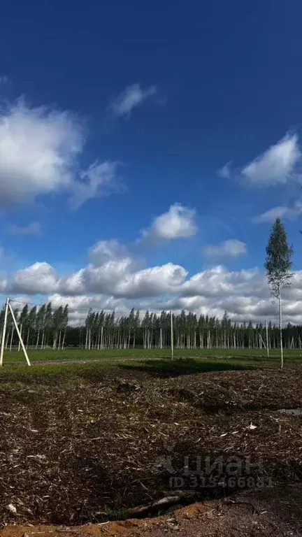Участок в Ленинградская область, Всеволожский район, Бугровское ... - Фото 1