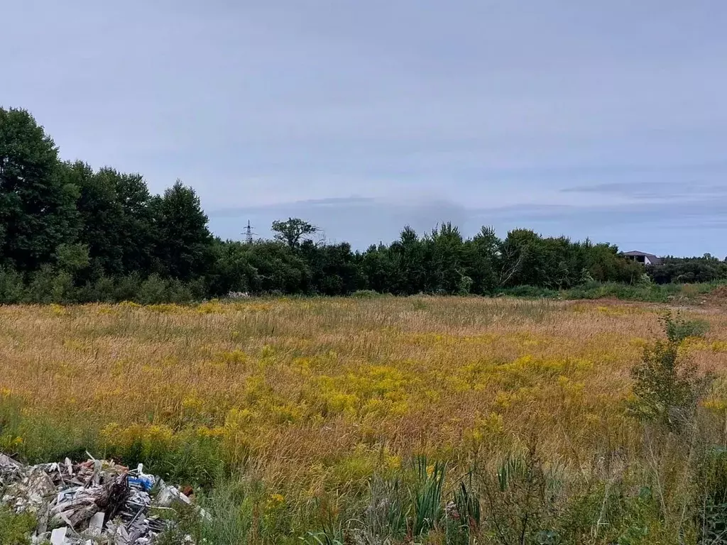 Участок в Хабаровский край, Хабаровский район, Тополевское с/пос, с. ... - Фото 1