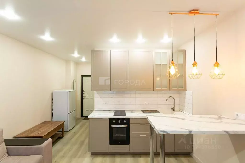 Студия Новосибирская область, Новосибирск ул. Ватутина, 93/2 (24.7 м) - Фото 1