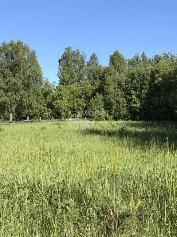 Участок в Нижегородская область, Лысковский район, с. Великовское ... - Фото 1