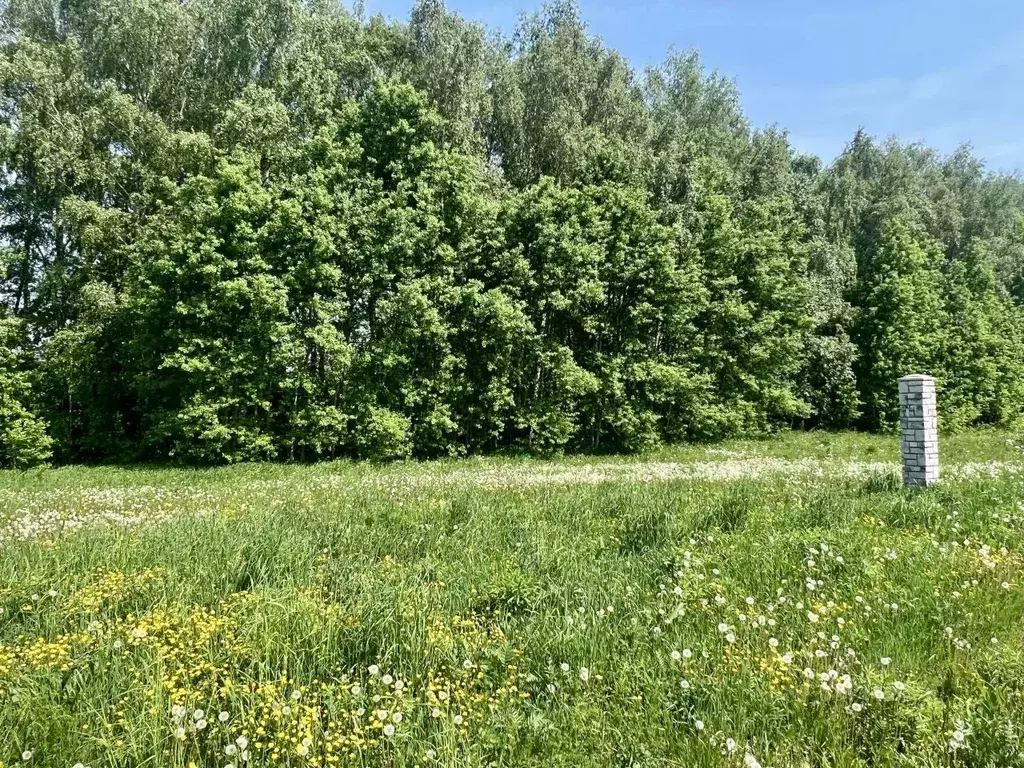 Участок в Московская область, Домодедово Красная поляна кп,  (6.2 ... - Фото 2