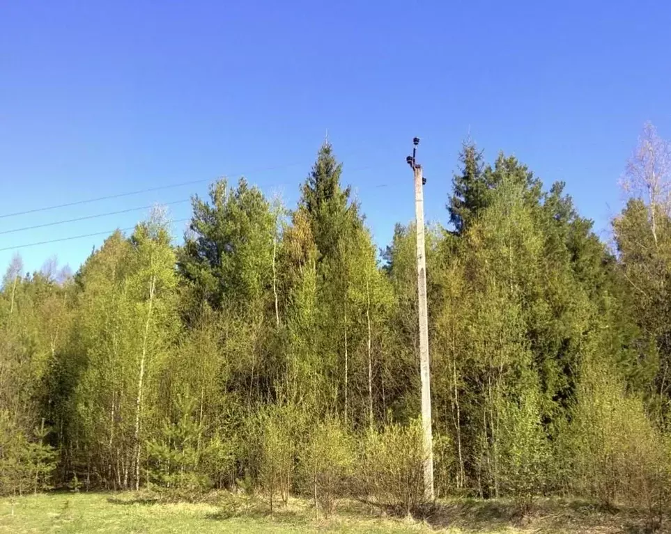 Участок в Вологодская область, Устюженский район, д. Андраково  (4.4 ... - Фото 1