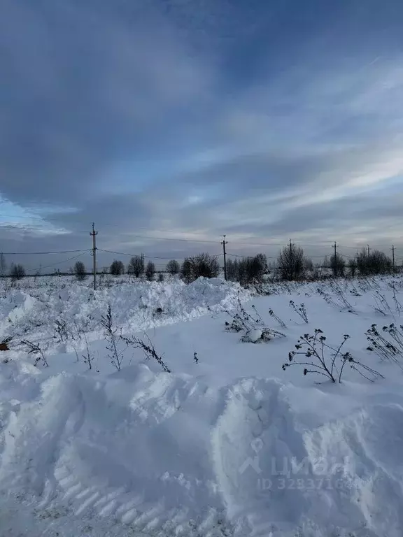 Участок в Нижегородская область, Богородский муниципальный округ, д. ... - Фото 2