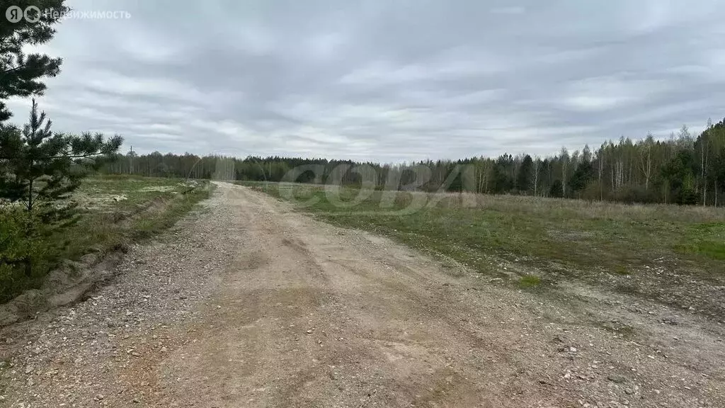 Участок в Свердловская область, Тугулымский муниципальный округ, ... - Фото 0